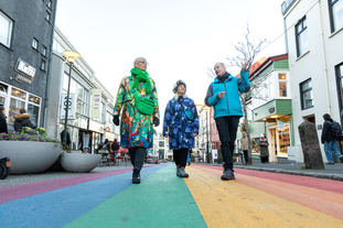 Passeggiata con un vichingo: tour guidato a piedi di 2 ore a Reykjavík