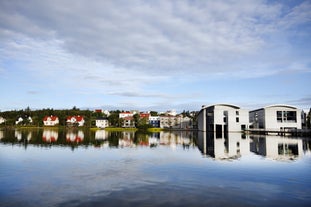 Il lago Tjornin, nel centro di Reykjavik, pullula di uccelli tutto l'anno