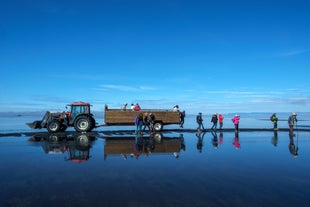 The tractor and hay car used to transport travellers across watery spots.