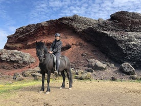 Tour a cavallo molto apprezzato con opzione di prelievo da Reykjavik