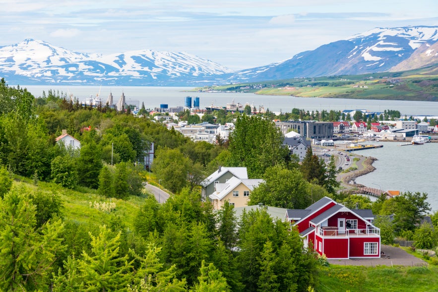 Panoramic view of Akureyri, Iceland, with colorful houses, green summer foliage, and snow-capped mountains surrounding Eyjafjordur fjord.
